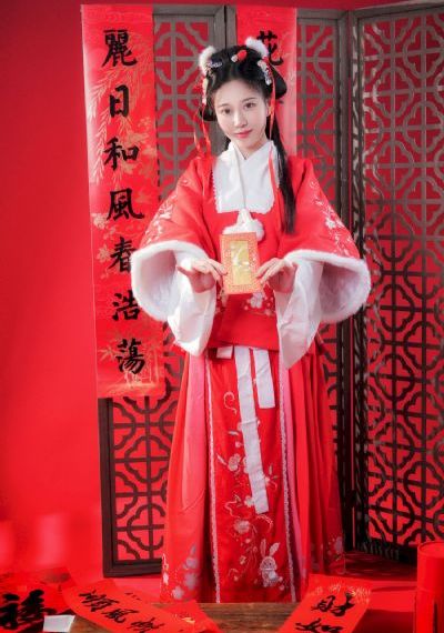 嫂子的职业5