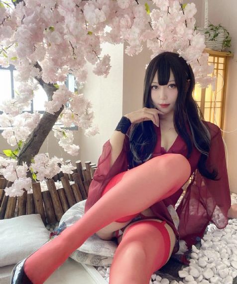 电视剧《西晋王朝》
